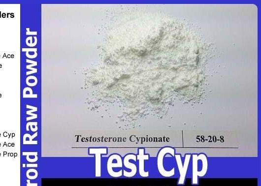 Muscle Building Testosterone Anabolic Steroid Testosterone Cypionate / Test Cyp CAS 58-20-8