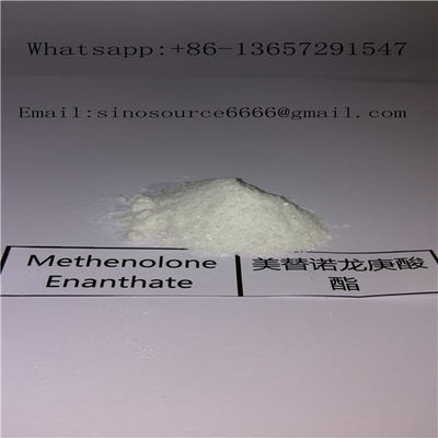 Male Primobolan E Local Anaesthesia Drugs Methenolone Enanthate CAS 303-42-4