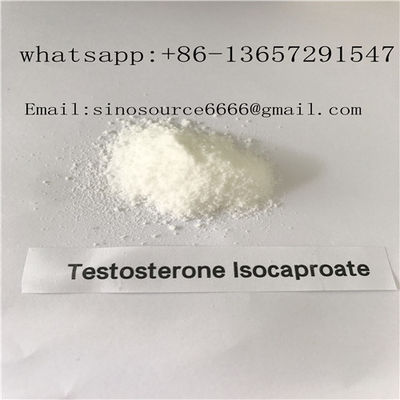 Oral Steroid Hormone Raw Powder Testosterone Isocaproate CAS 15262-86-9 For Muscle Gain