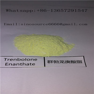 Trenbolone Enanthate 200mg/ml Oil Based Steroids CAS 10161-33-8 For Mass Gaining